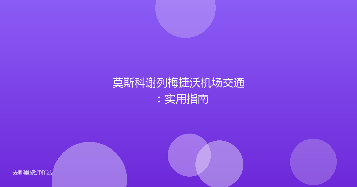 莫斯科谢列梅捷沃机场交通：实用指南