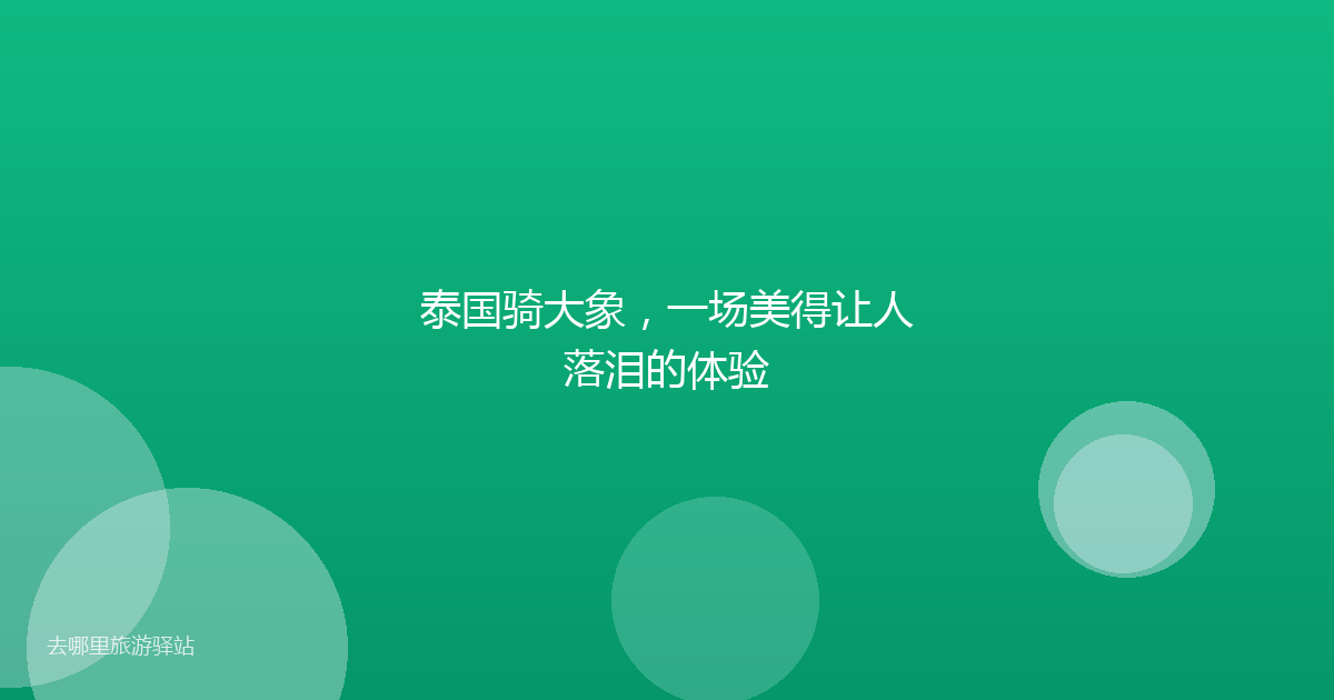 泰国骑大象，一场美得让人落泪的体验