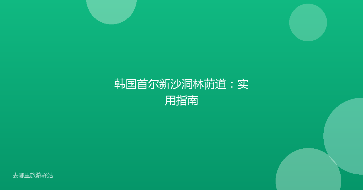 韩国首尔新沙洞林荫道：实用指南