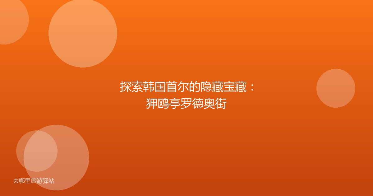 探索韩国首尔的隐藏宝藏：狎鸥亭罗德奥街