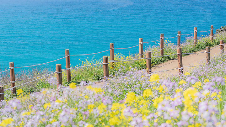 阳朔旅游景点：实用指南