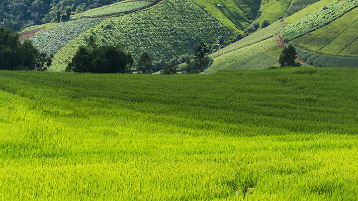 俄罗斯冬季旅游穿搭 - 083940uJ1yj